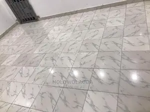 Best Cleaning and Pestcontrol Services