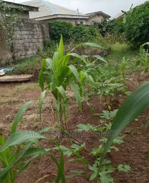 Well Located Plot of Land Selling at Command