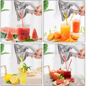 Manual Fruit Press