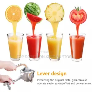 Manual Fruit Press