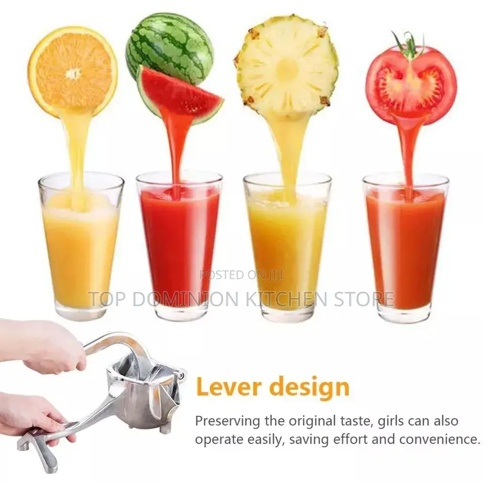 Manual Fruit Press