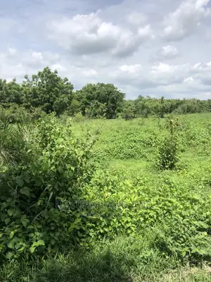 50 Acres of Land Going for Just Per Acre