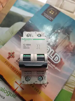 100a 2pole Dc Breaker