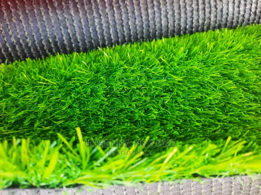 Turkish Standard Grass