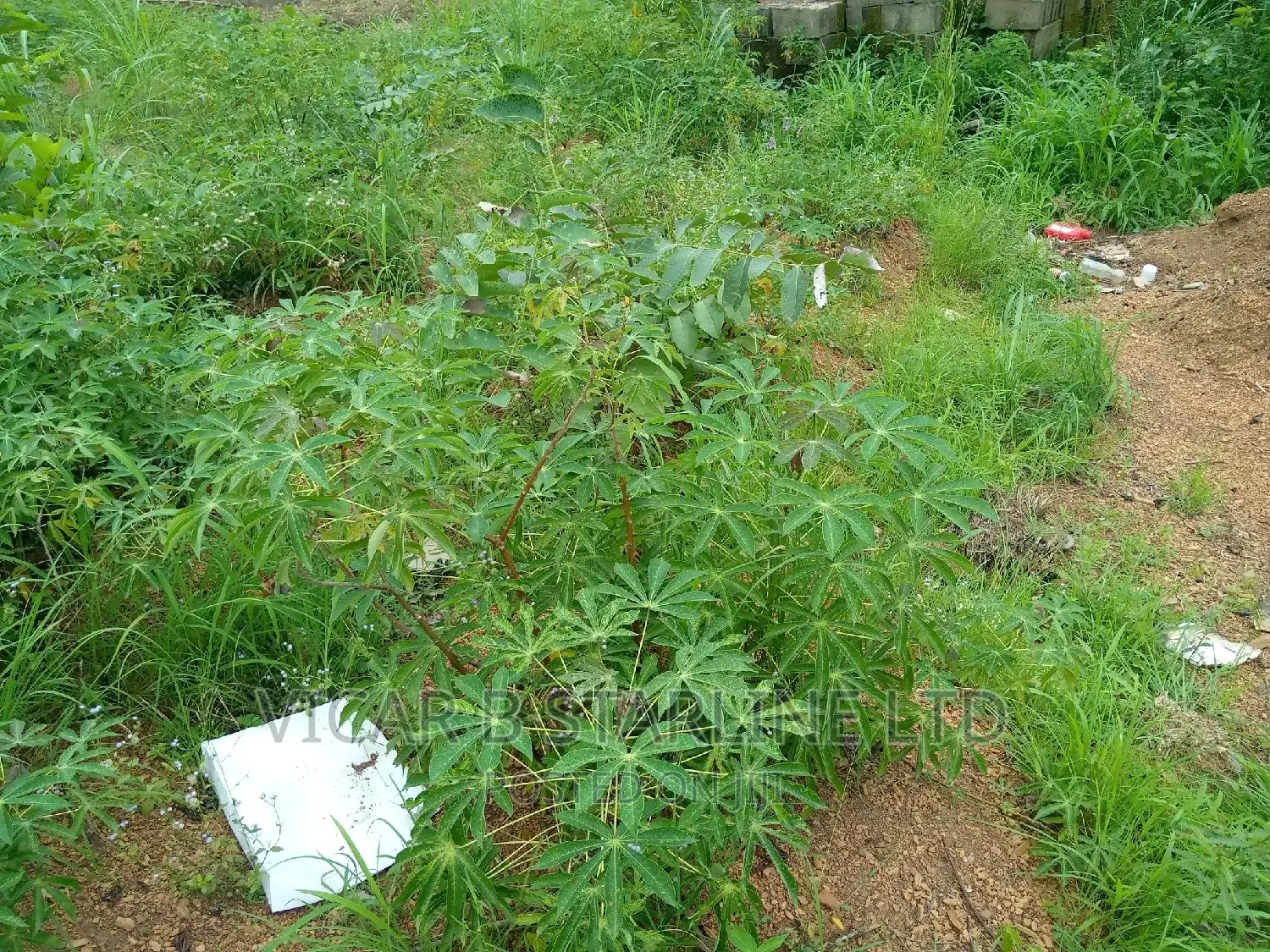 Land for Sale at a Strategic Position,