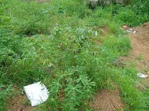 Land for Sale at a Strategic Position,