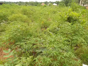 Land for Sale at a Strategic Position,