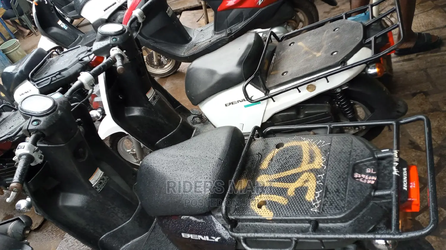 Honda 2020 White