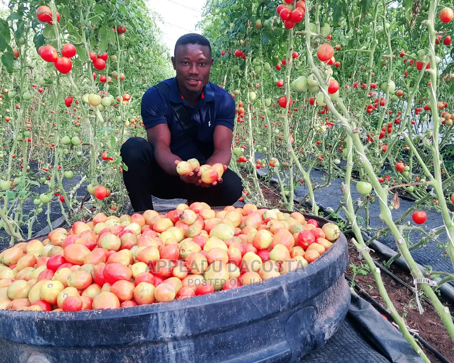 Agronomist