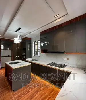 Luxury Kitchen Cabinet Design With Accessories