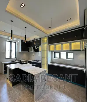 Luxury Kitchen Cabinet Design With Accessories