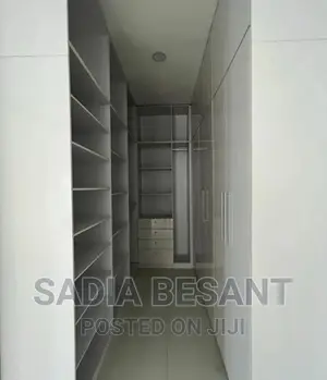 Contemporary Walk-in Closet Interior Design