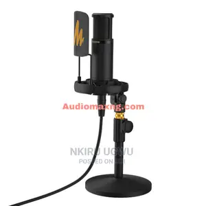 Studio Condenser XLR Microphone