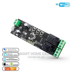 Smart Wifi 2ch Relay