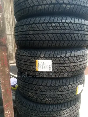 265/65r17 Dunlop Tires