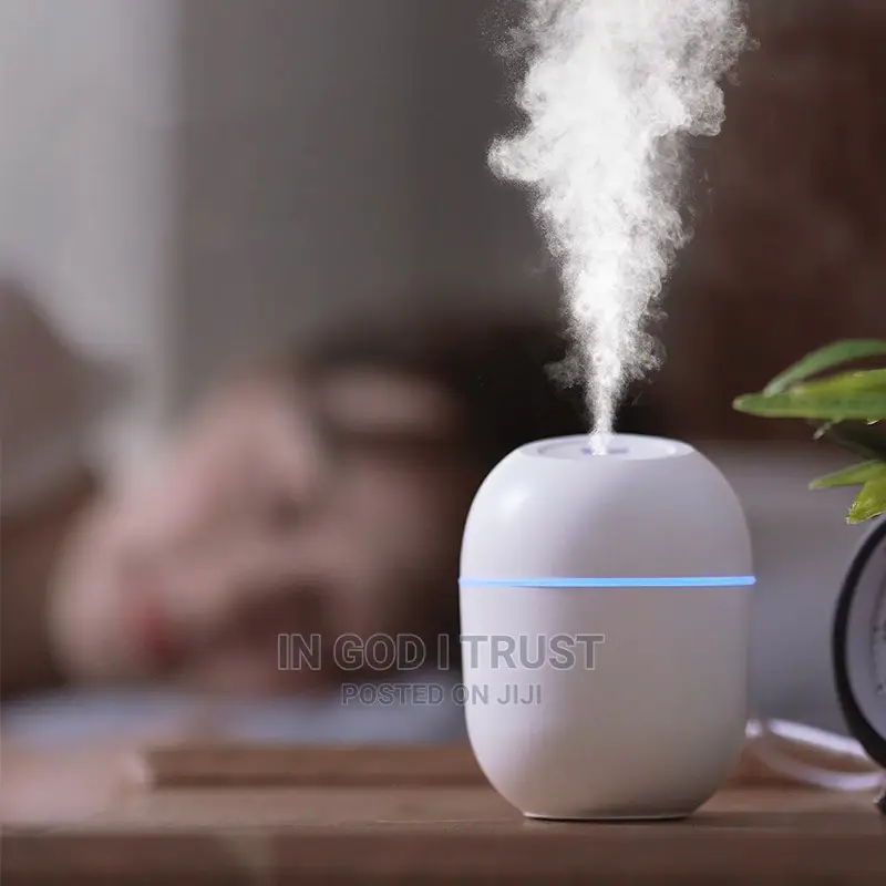 220ML Mini Humidifer Portable