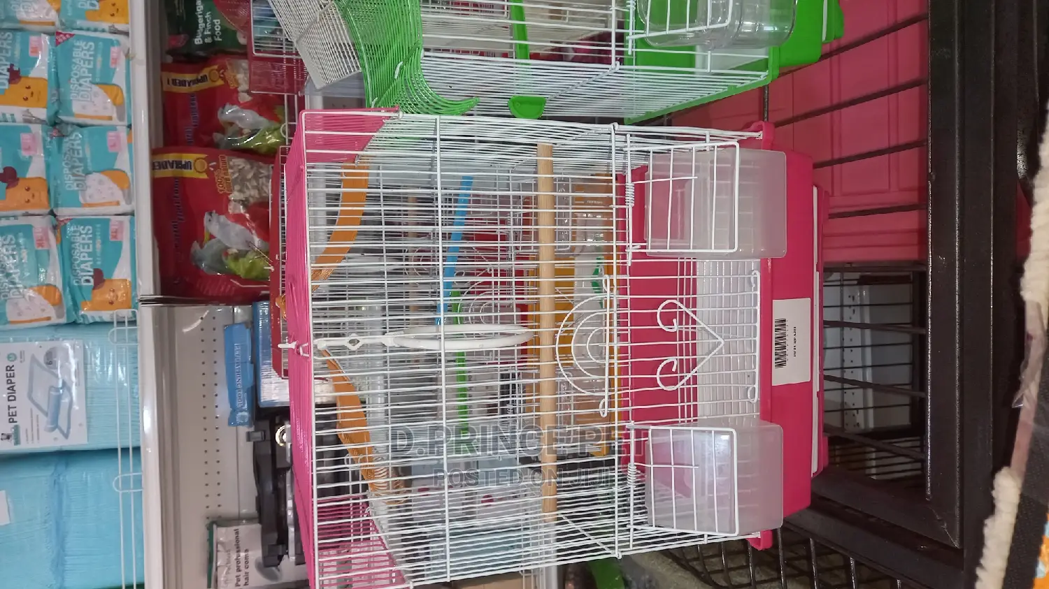 Cage for Parrot