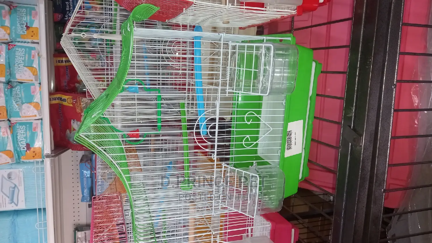 Cage for Parrot