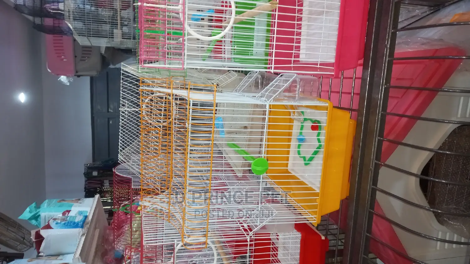 Cage for Parrot