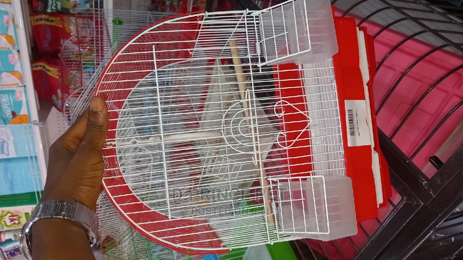Cage for Parrot