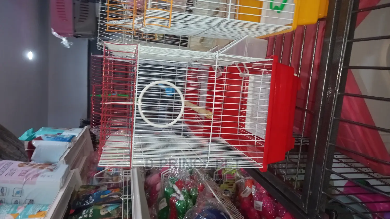 Cage for Parrot