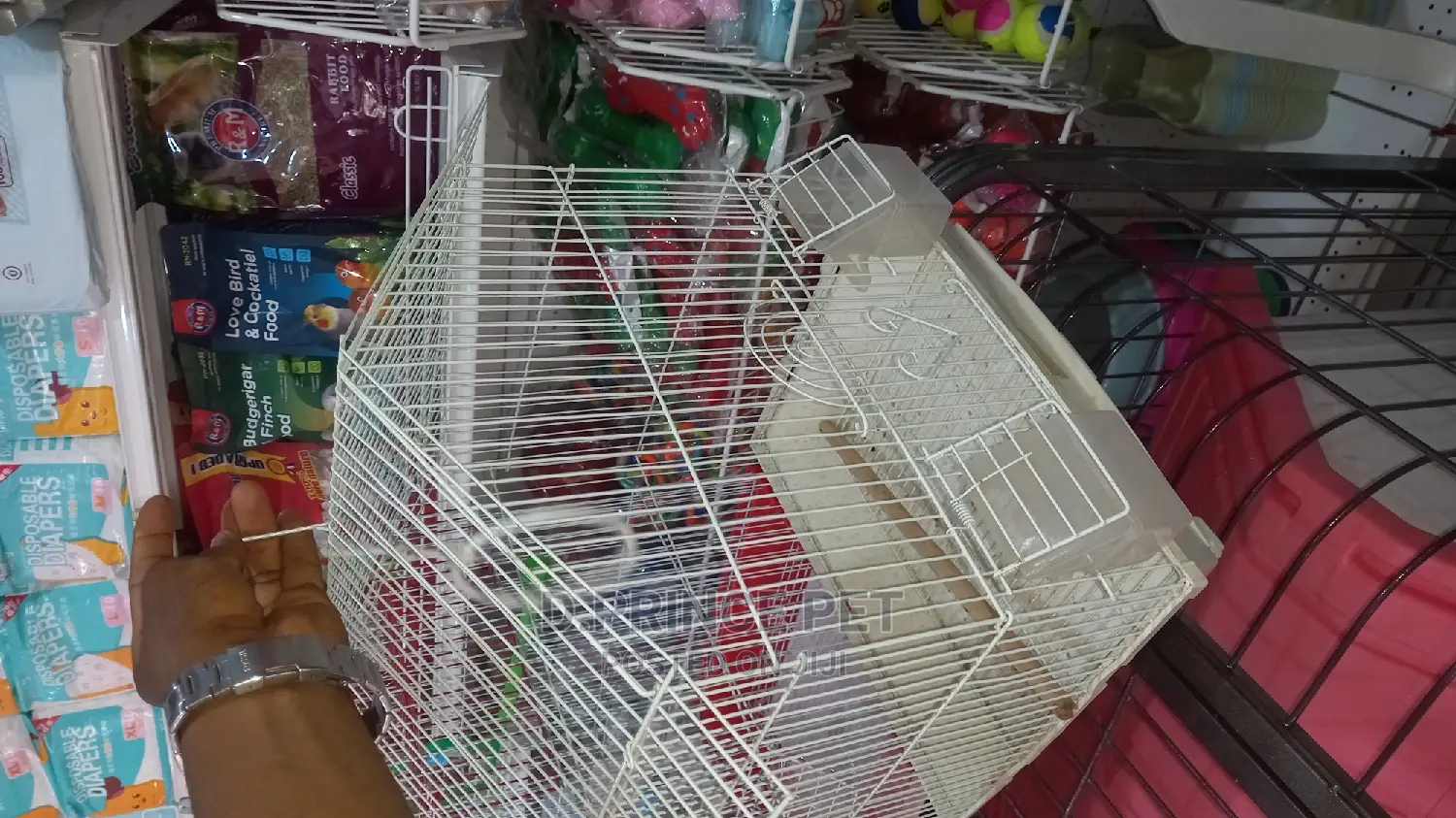 Cage for Parrot