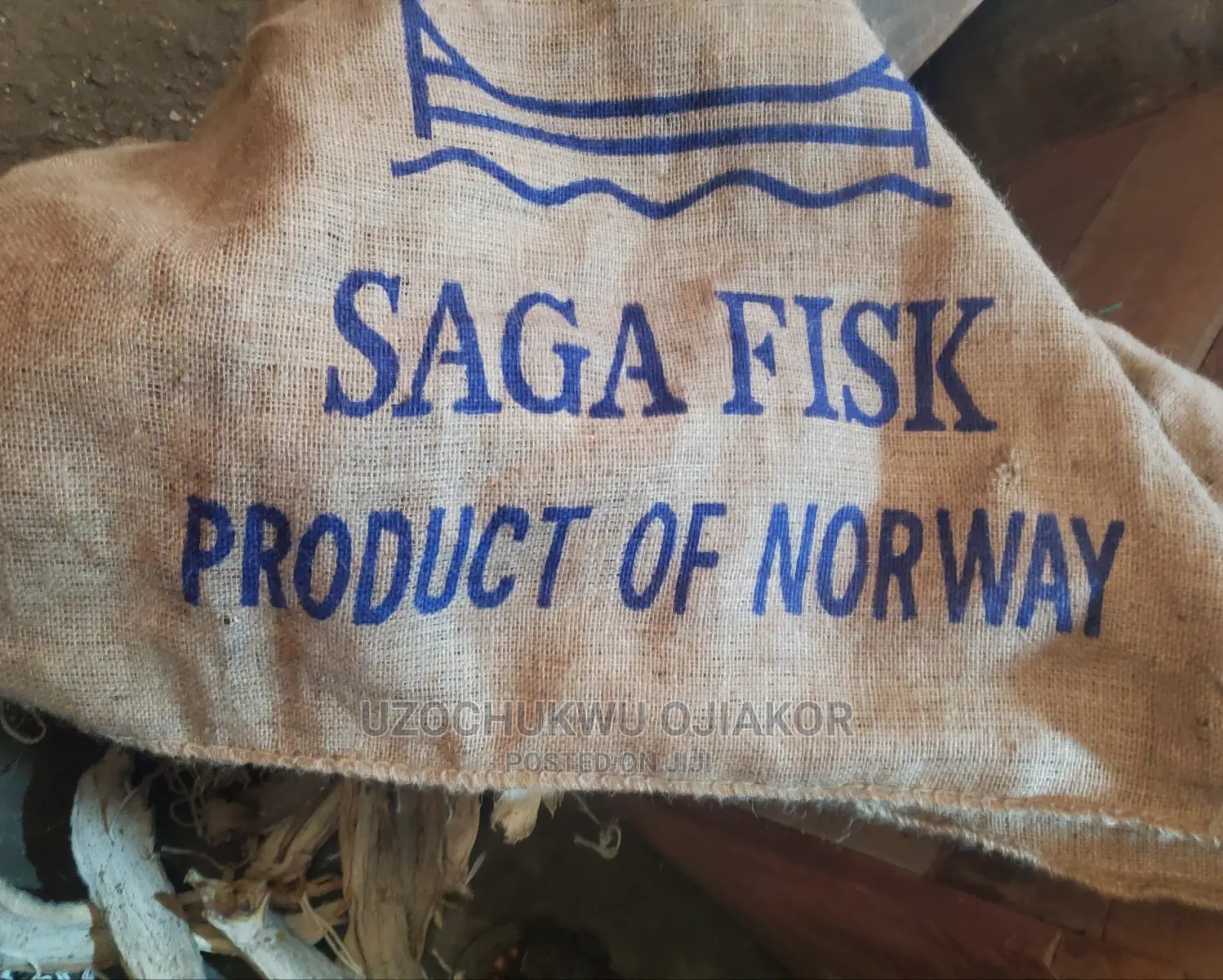 Stuck Fish