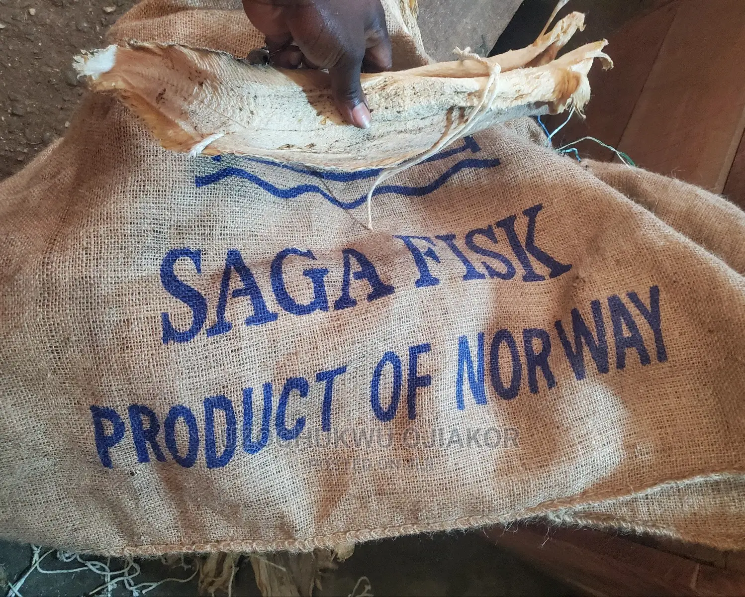 Stuck Fish