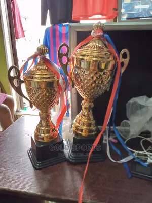 Trophy Cup Award E4