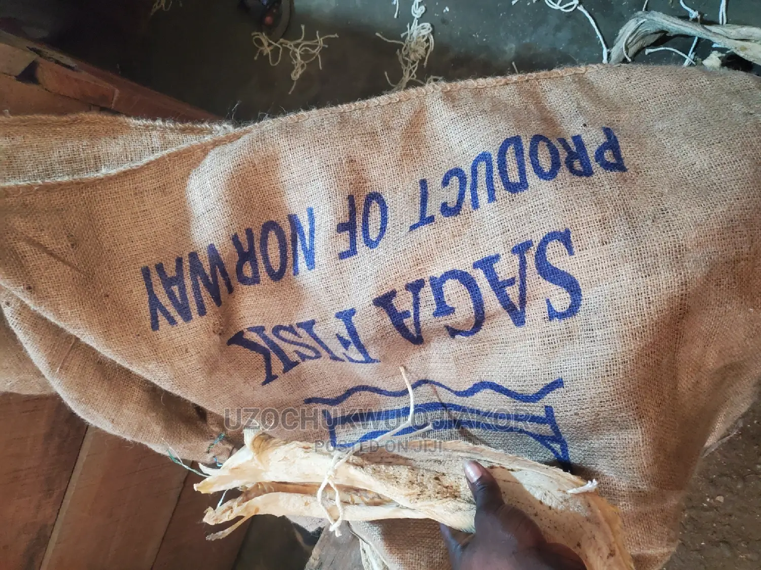 Stuck Fish