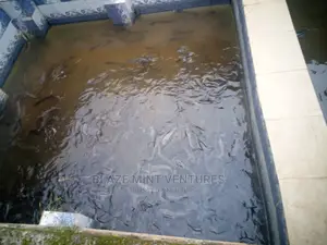 Fish Pond Hatching Pond