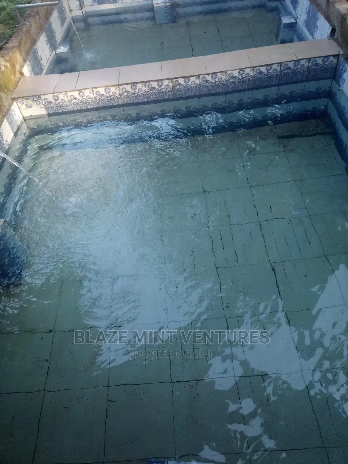 Fish Pond Hatching Pond