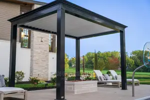 Executive Pagola for Your Open Space and Courtyard