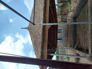 Thatch Roof or Bush Roof AND Huts
