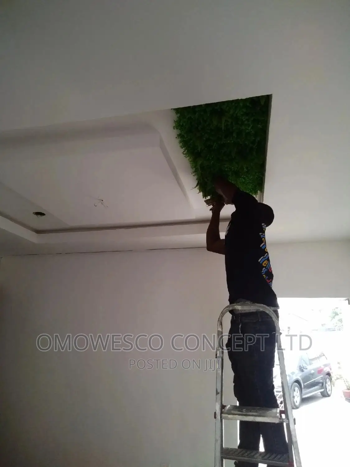 Pop Ceiling Services
