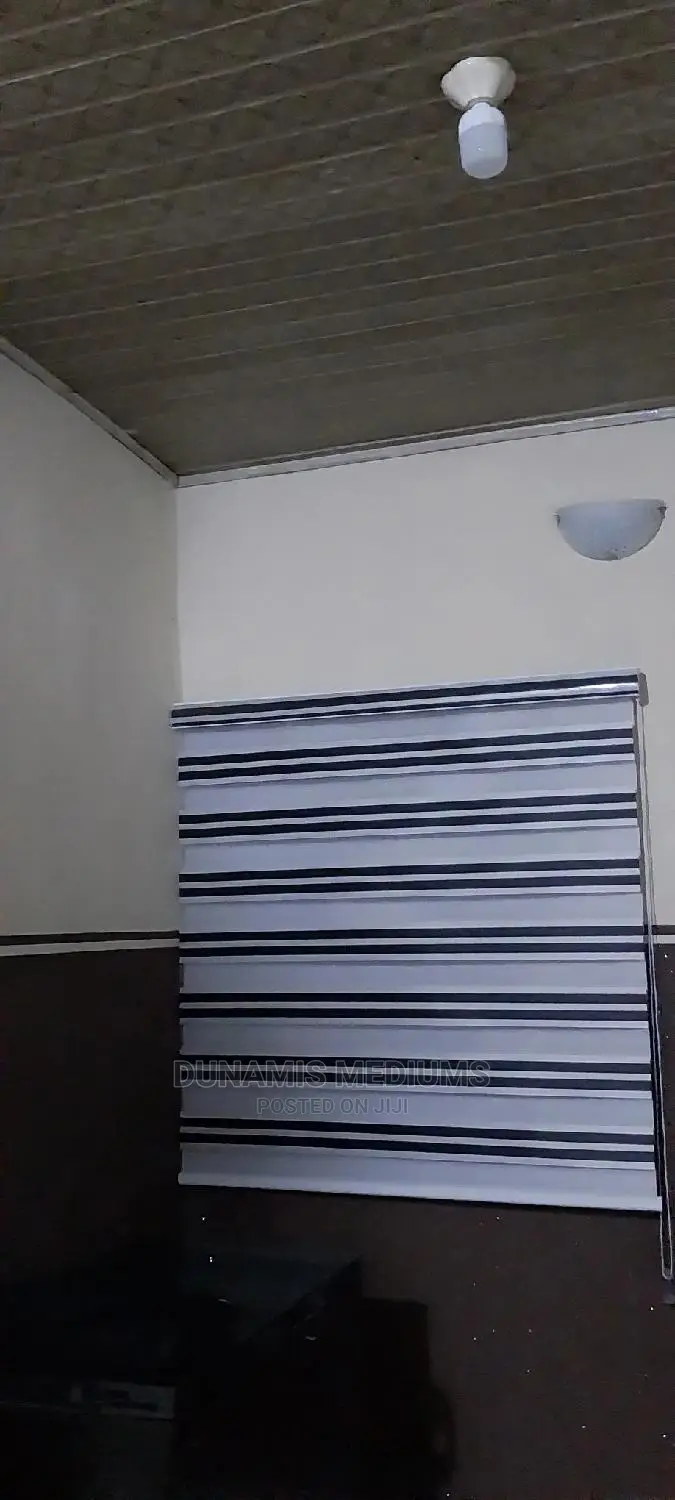 Day and Night Window Blinds
