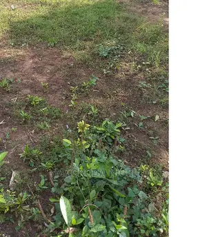 20 Hectares of Commercial Land at Karsana South Abuja