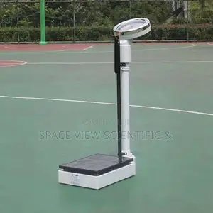 Scale With Height