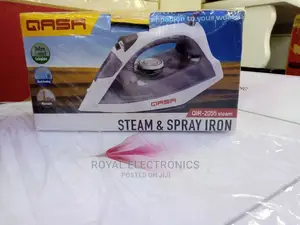 Amazing Design Qasa Steam Spray Iron