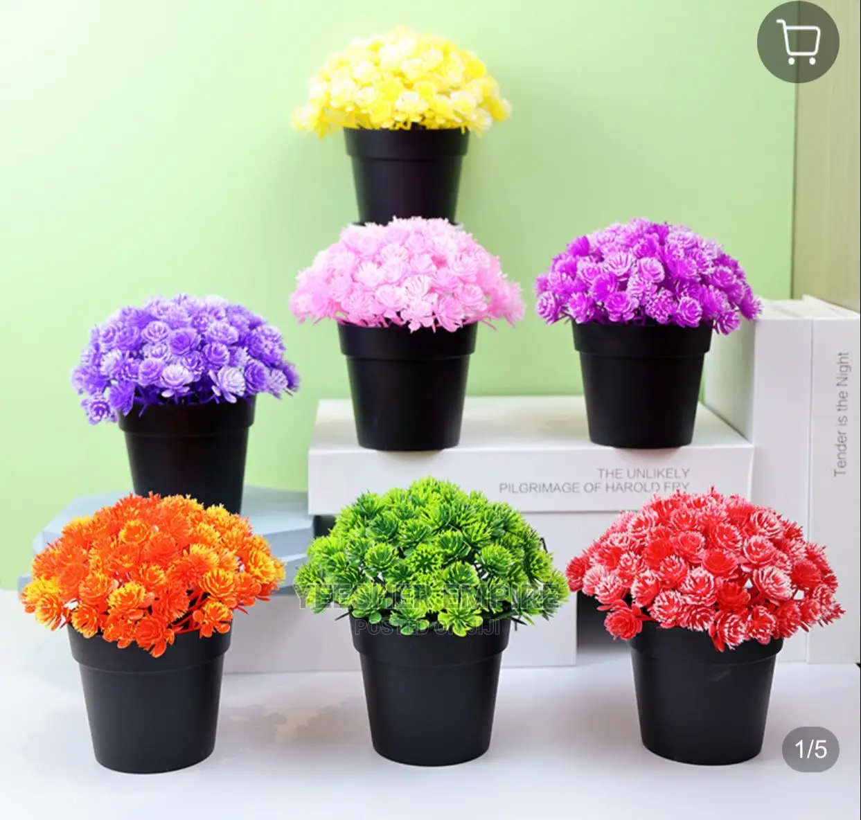 Small Black Cup Flowers