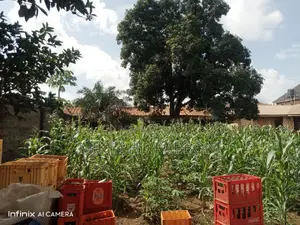 Three Plots of Land at New Haven Extension for 55m