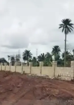 Photo - Affordable Dry Land at Ogwashi-Uku