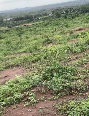 Affordable Dry C Of O Land In Enugu For Sale
