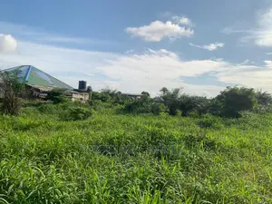 The Possibilities Are Endless 20 Plots of Land