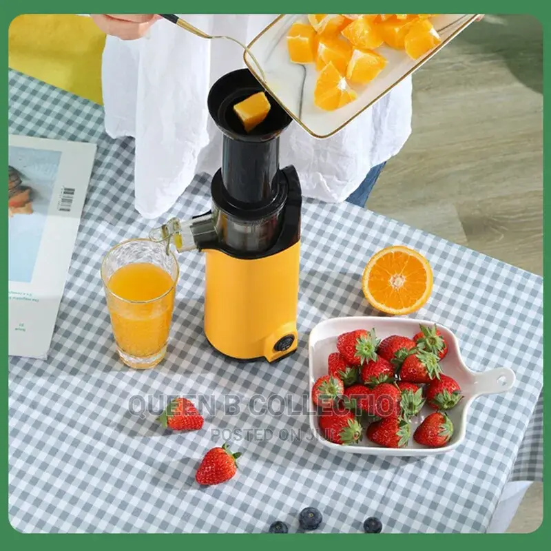 Slow Juicer