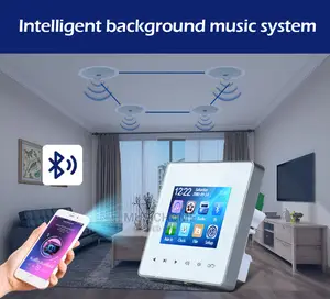 Inwall Bluetooth Amp With Remote, USB and 2 Speakers