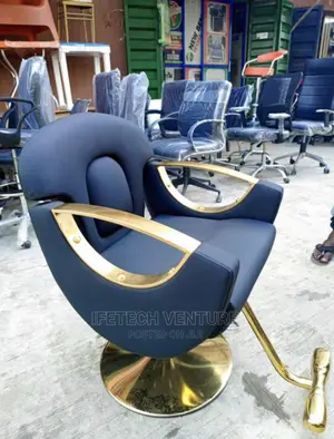 Salon Chair