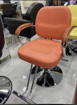 Salon Swivel Chair