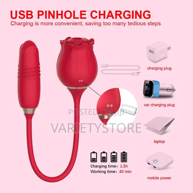 rose toy charge time Weakening rose vibrators : r/fixit main image 1