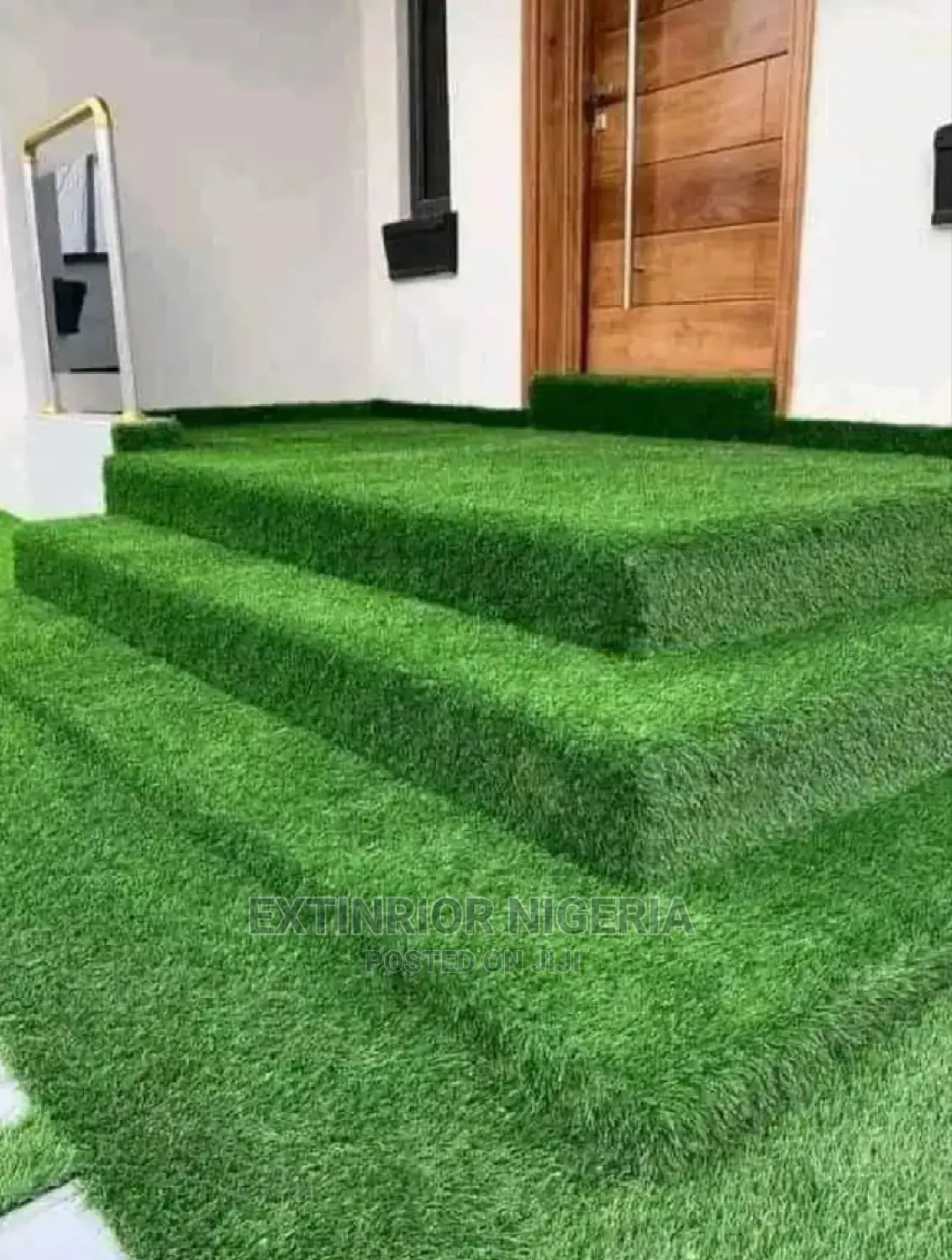 Carpet Grass